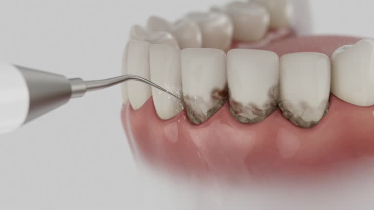Reliable Dental contractor in La Plata, MO by Dentist Open Now
